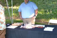 Health-Fair-and-Picnic-2019-37