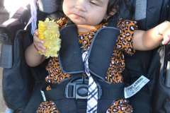 Health-Fair-and-Picnic-2019-48